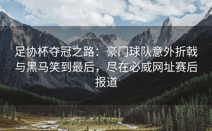 足协杯夺冠之路：豪门球队意外折戟与黑马笑到最后，尽在必威网址赛后报道