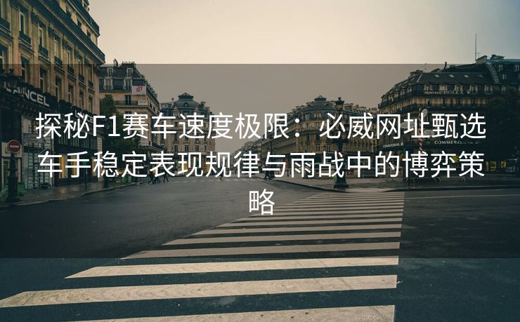 探秘F1赛车速度极限：必威网址甄选车手稳定表现规律与雨战中的博弈策略  第2张