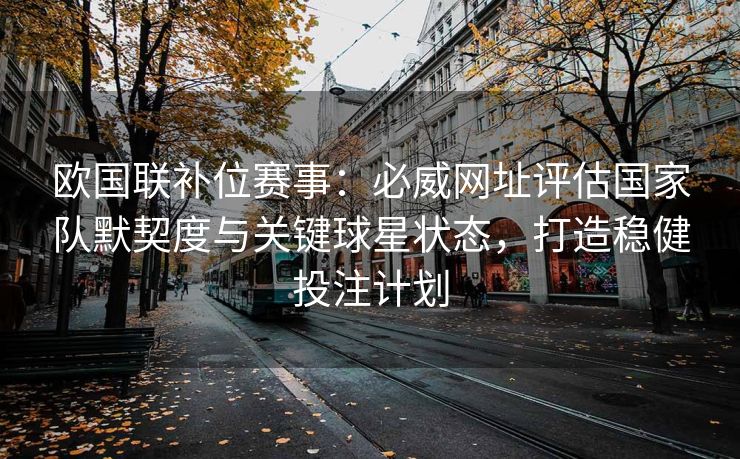 欧国联补位赛事：必威网址评估国家队默契度与关键球星状态，打造稳健投注计划  第2张