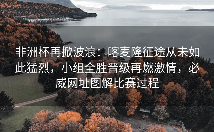 非洲杯再掀波浪：喀麦隆征途从未如此猛烈，小组全胜晋级再燃激情，必威网址图解比赛过程  第2张